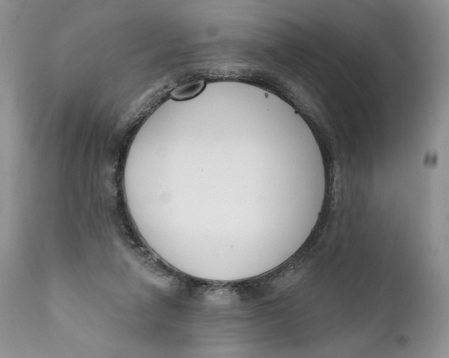 X0000110740258200907061014