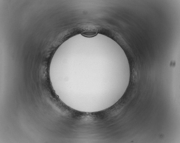 X0000110740259200907061014