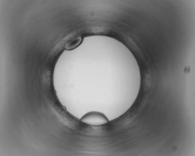 X0000110740260200907061014