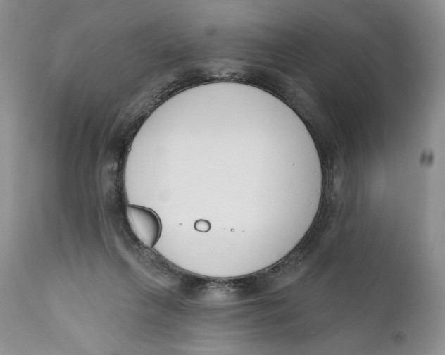 X0000110740263200907061014