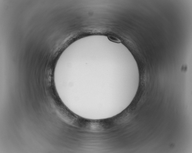 X0000110740264200907061014