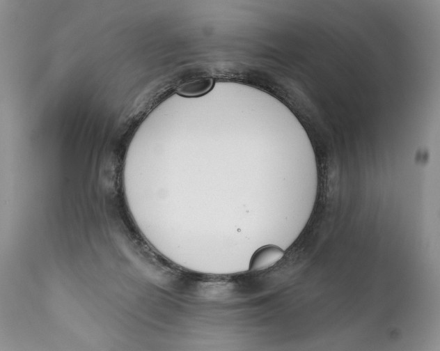 X0000110740266200907061014