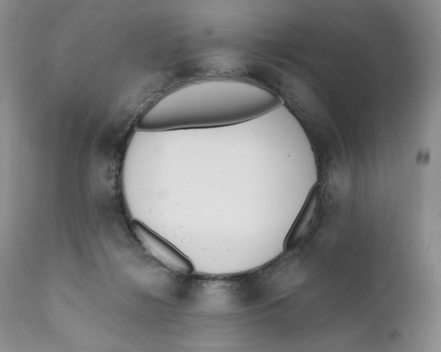 X0000110740268200907061014