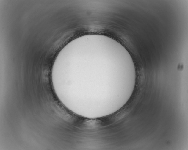 X0000110740269200907061014
