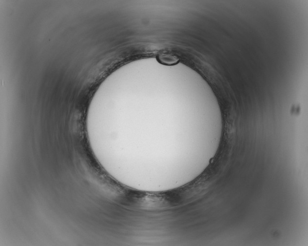 X0000110740270200907061014