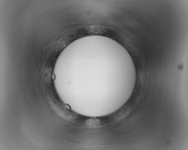 X0000110740271200907061014