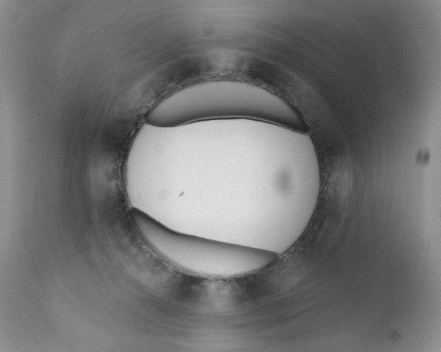 X0000110740272200907061014