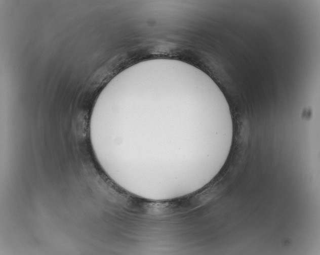 X0000110740273200907061014
