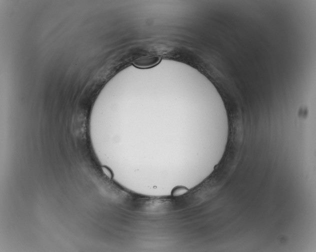 X0000110740274200907061014
