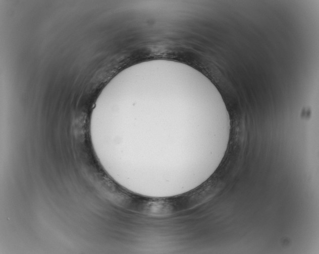 X0000110740275200907061014