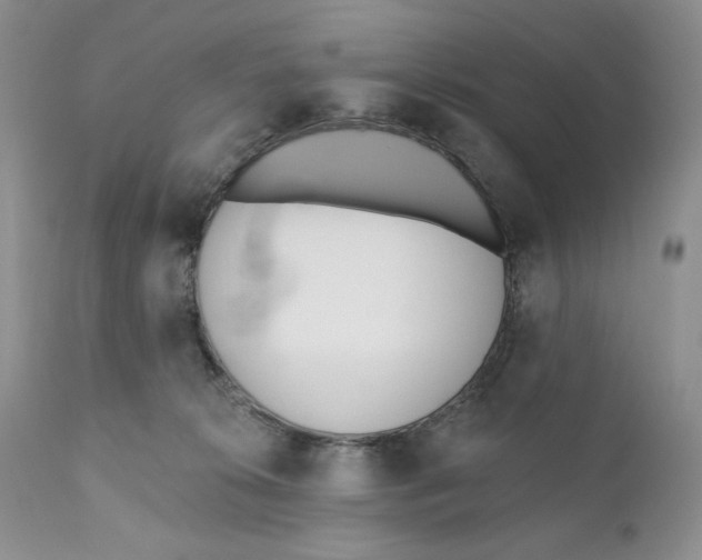 X0000110740276200907061014