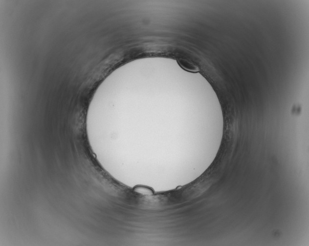 X0000110740277200907061014