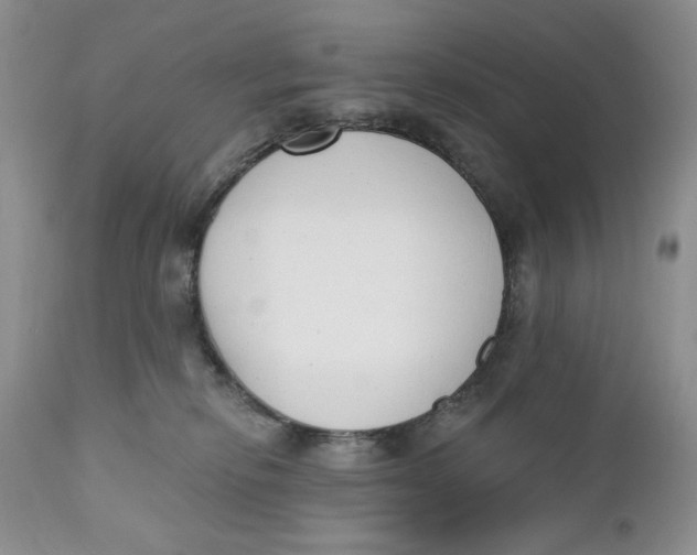 X0000110740278200907061014
