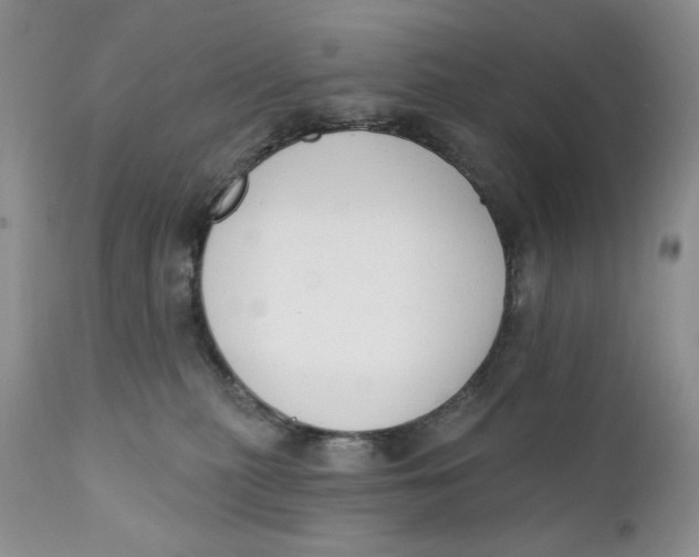 X0000110740279200907061014