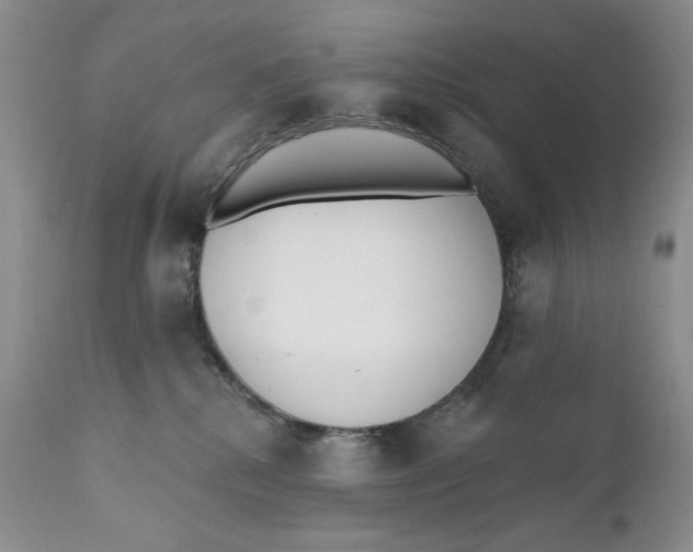 X0000110740280200907061014