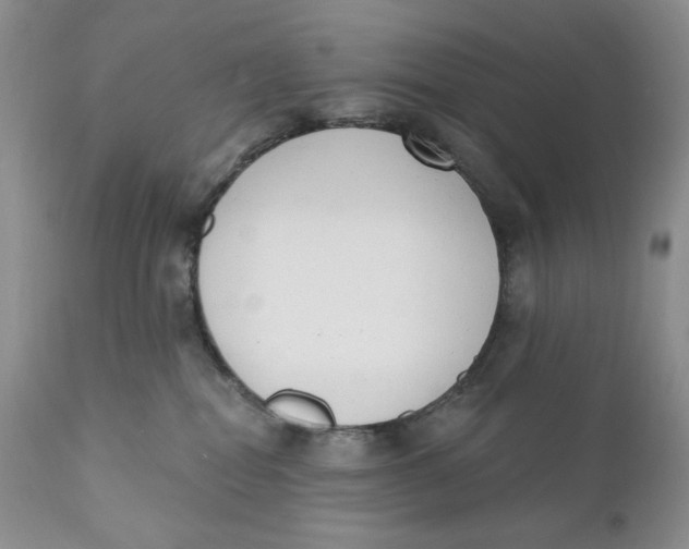 X0000110740282200907061014