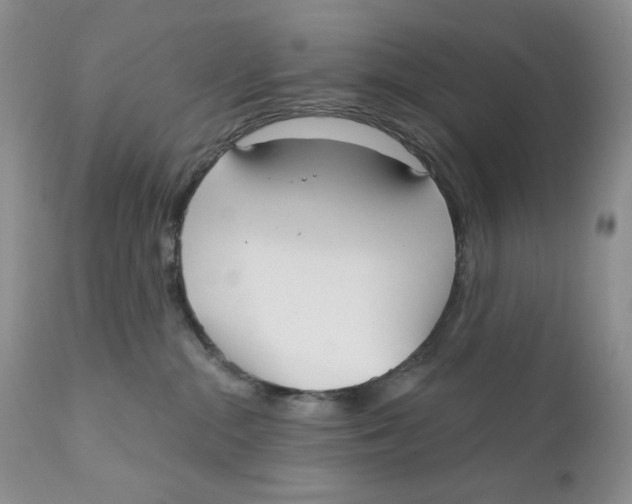 X0000110740284200907061014