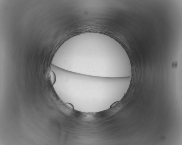 X0000110740285200907061014