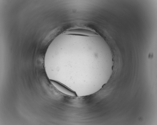 X0000110740288200907061014