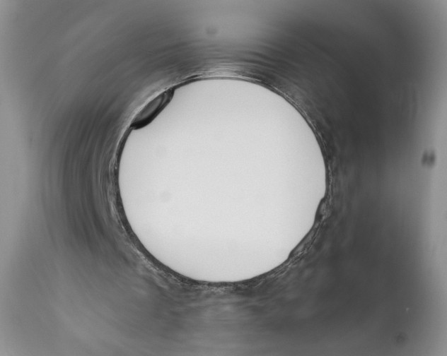 X0000110740289200907061013