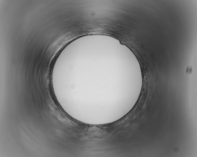 X0000110740290200907061013