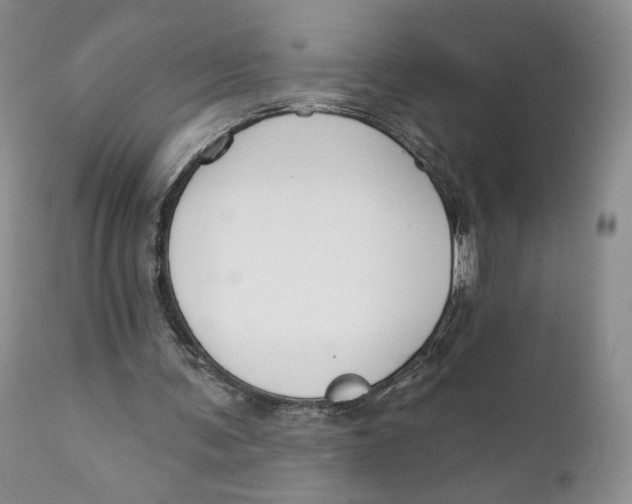 X0000110740291200907061013