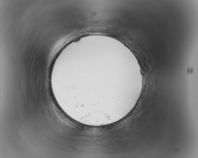 X0000110740293200907061013