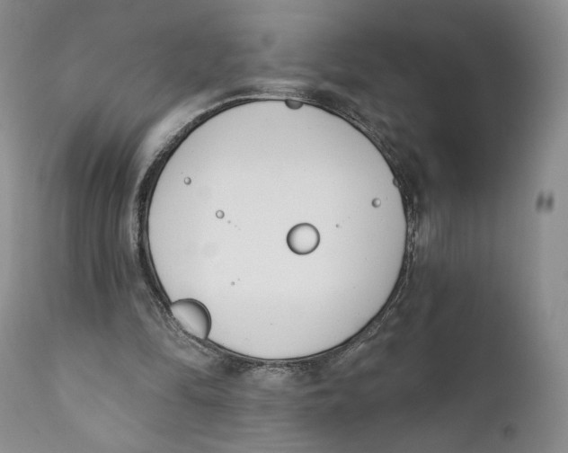 X0000110740294200907061013