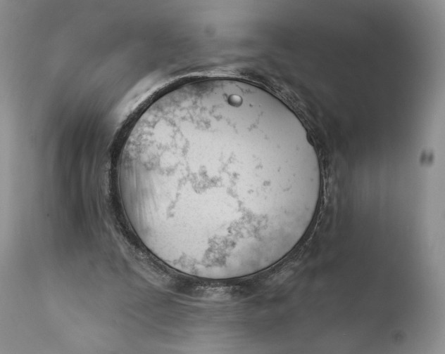 X0000110740295200907061013