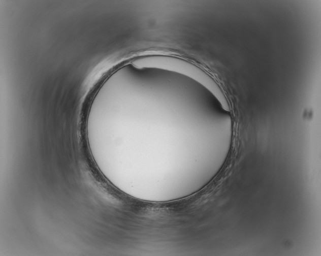 X0000110740296200907061013