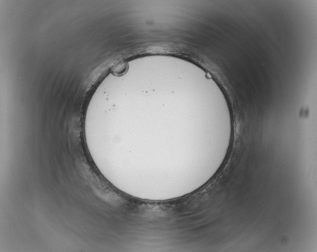 X0000110740297200907061013