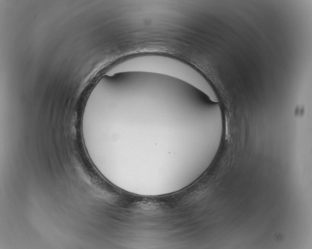 X0000110740300200907061013