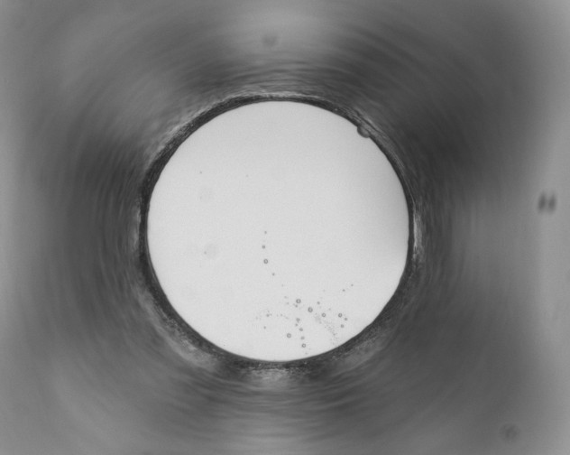 X0000110740301200907061013