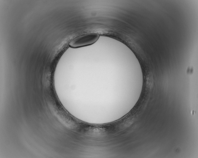 X0000110740304200907061013