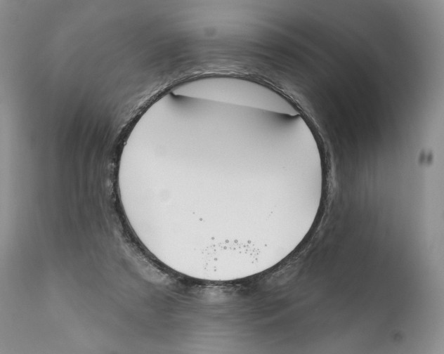 X0000110740305200907061013