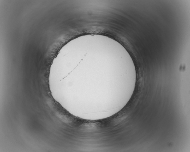 X0000110740307200907061013