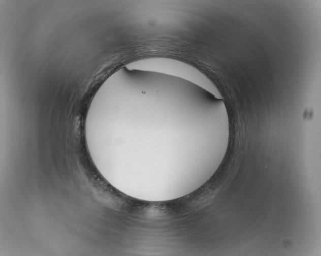 X0000110740308200907061013