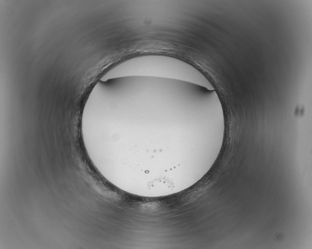 X0000110740309200907061013