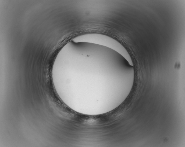 X0000110740312200907061013