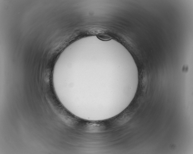 X0000110740315200907061013