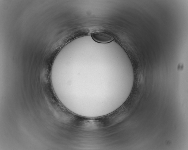 X0000110740316200907061013