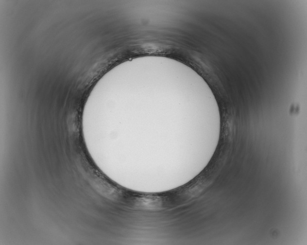 X0000110740317200907061013