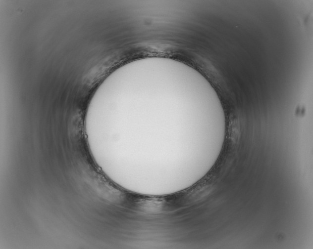 X0000110740318200907061013