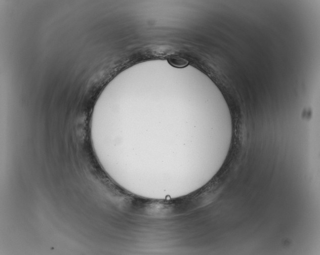 X0000110740319200907061013