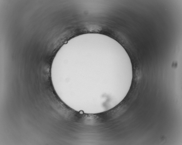 X0000110740321200907061013