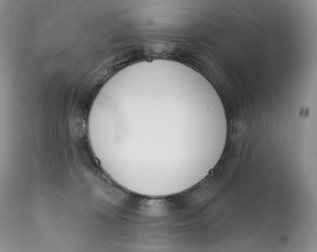 X0000110740324200907061013