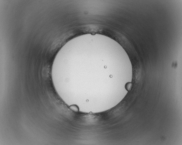 X0000110740326200907061013