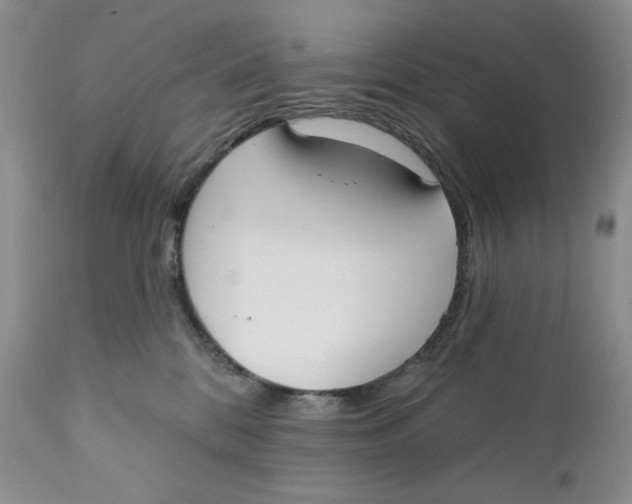 X0000110740328200907061013