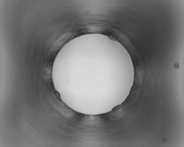 X0000110740329200907061013