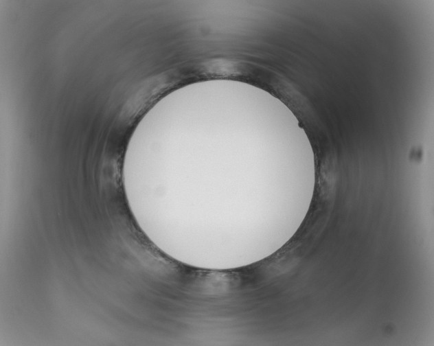 X0000110740330200907061013